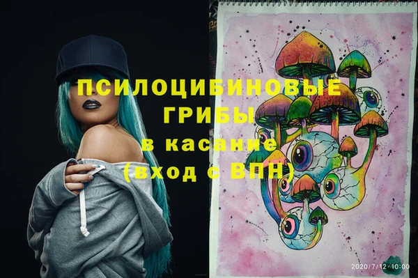 СК Лиски
