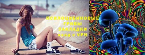 СК Лиски