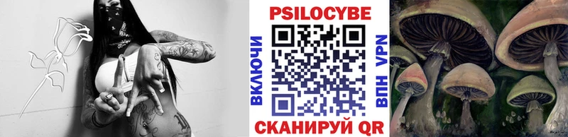 Псилоцибиновые грибы MAGIC MUSHROOMS  где найти   Воткинск 