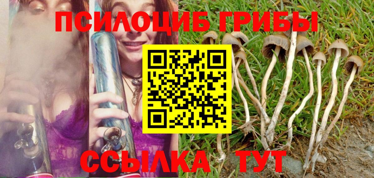 Галлюциногенные грибы Cubensis Воткинск