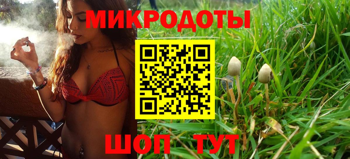 Галлюциногенные грибы Psilocybe Воткинск