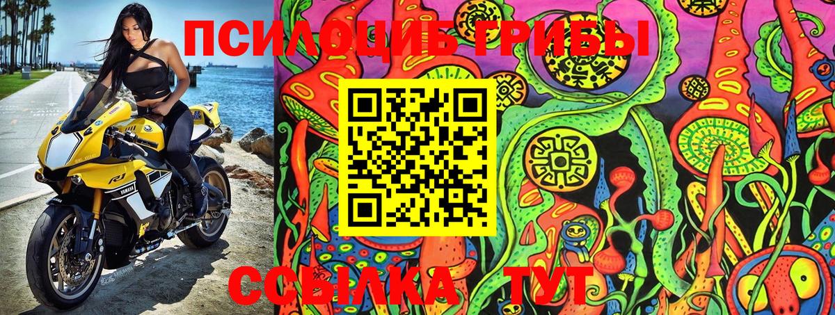 Галлюциногенные грибы ЛСД  Воткинск  Галлюциногенные грибы Psilocybine cubensis 