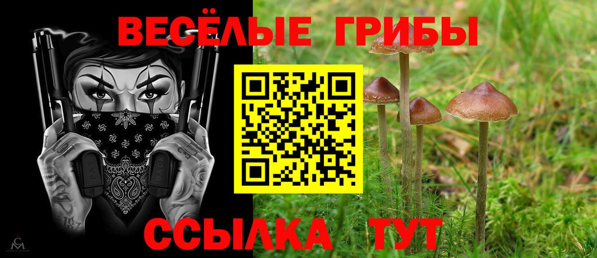 Псилоцибиновые грибы Psilocybe  Вход с VPN  Воткинск 